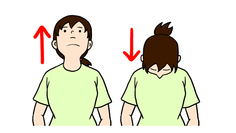 首を上下(前後)に曲げるストレッチのイラスト